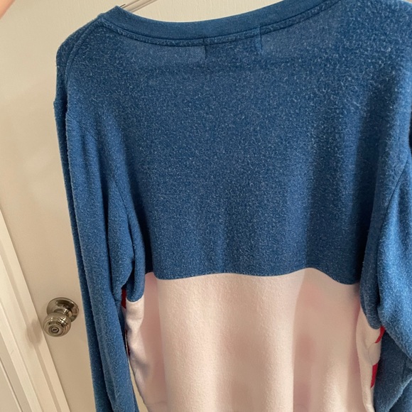 Wild fox flag sweatshirt - Picture 3 of 3